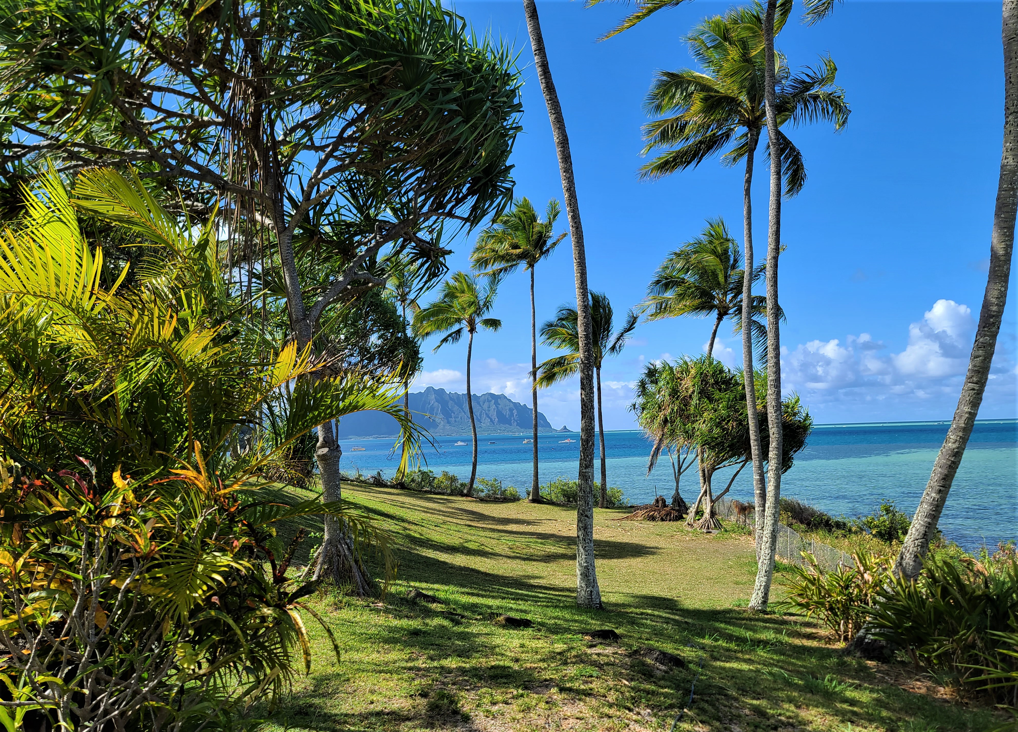 Adventures in Hawaii – A Need to Travel